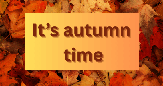 Konkurs recytatorski  w języku angielskim