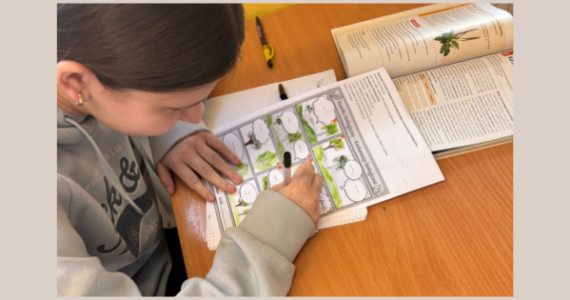 Biologia w klasie  8