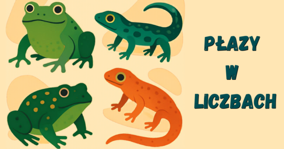 Płazy w liczbach – projekt